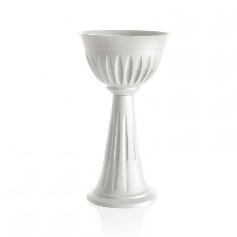 COLONNA ALBA D.43 BIANCA BAMA.-31890- COLONNA ALBA D.43 BIANCA BAMA.-31890-