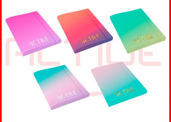 CARTELLE CON ELASTICO ACTIVE BICOLOR 12PZ ART.94507
