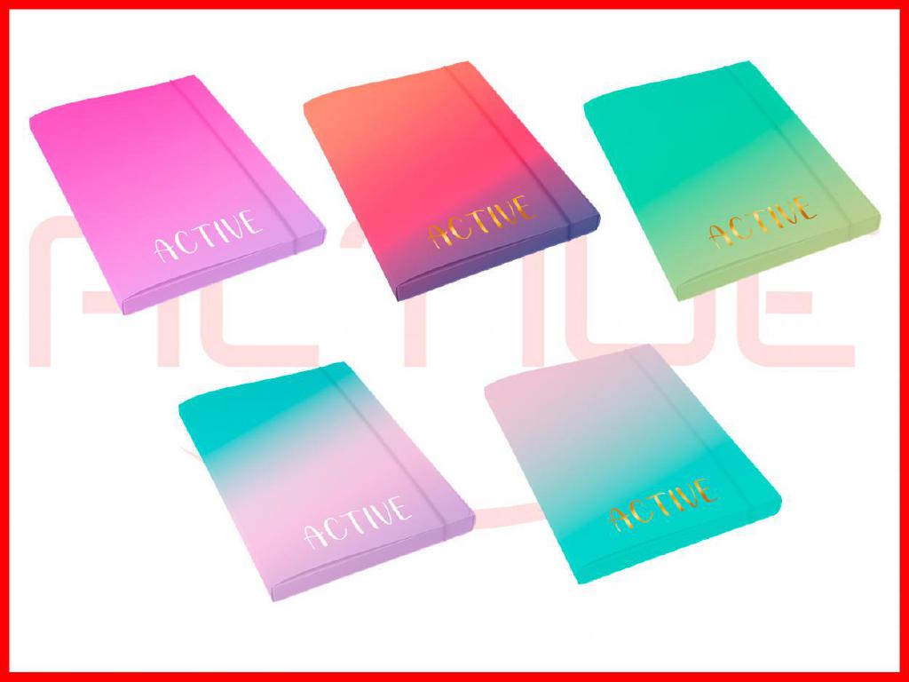CARTELLE CON ELASTICO ACTIVE BICOLOR 12PZ ART.94507 CARTELLE CON ELASTICO ACTIVE BICOLOR 12PZ ART.94507