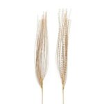 PICK CASCATA DORATA L.118 CM DESIGN ASSORTITI ART.75348 -