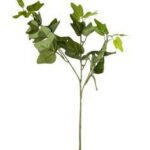 STELO 10350021-01 EDERA 70CM 3 RAMI