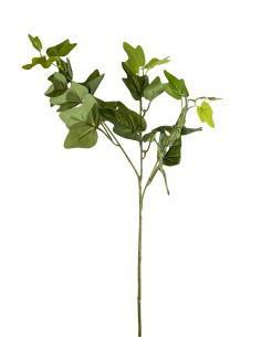 STELO 10350021-01 EDERA 70CM 3 RAMI STELO 10350021-01 EDERA 70CM 3 RAMI
