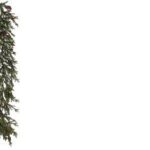 GHIRLANDA DI ABETE ROSSO DELLA FORESTA 220CM H180CM ART.49604