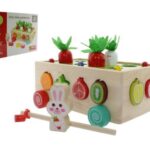 GIOCO LEGNO ORTO INCASTRI ODG1087 ART.530490009