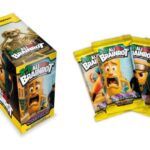 BRAINROT FLOWPACK 14 CARTE SERIE