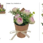 PIANTINA ROSE CON CARTONCINO 4COL IN DISPLAY ART.DEV24008441