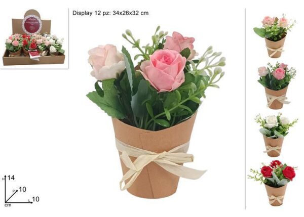 PIANTINA ROSE CON CARTONCINO 4COL IN DISPLAY ART.DEV24008471