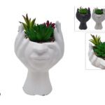 VASO VISO CON MANI CON PIANTA GRASSA 3 ASS ART.DEV24011941