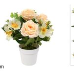 PIANTINA ROSE NARCISI C VASO CM 24 4COL ASS ART.DEV25000921