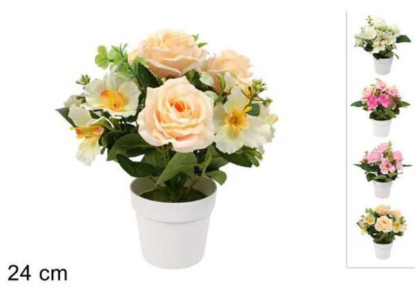 PIANTINA ROSE NARCISI C VASO CM 24 4COL ASS ART.DEV25000921