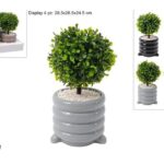 PIANTA CON VASO IN CERAMICA 4 COL. IN DISPLAY ART.DEV25006211
