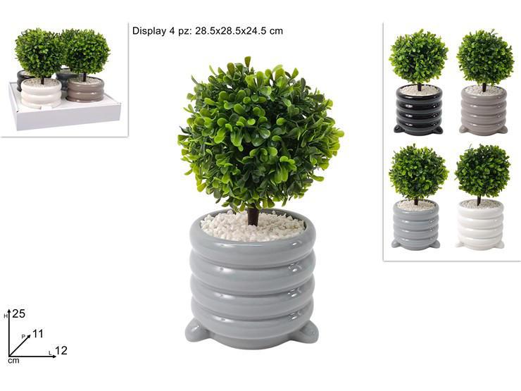 PIANTA CON VASO IN CERAMICA 4 COL. IN DISPLAY ART.DEV25006211 PIANTA CON VASO IN CERAMICA 4 COL. IN DISPLAY ART.DEV25006211