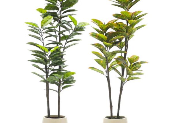 PIANTA IN VASO FICUS H165CM BIANCO 2ASS ART.510513