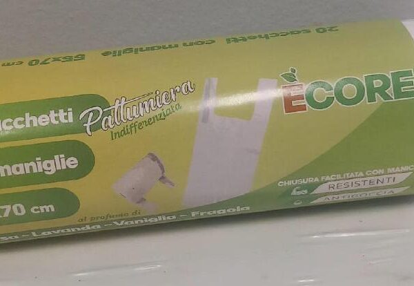 SACCHETTI C/MANIGLIE 55X70CM 20PZ