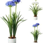 PIANTA IN VASO 50X8CM 2ASS COL ART.318001410