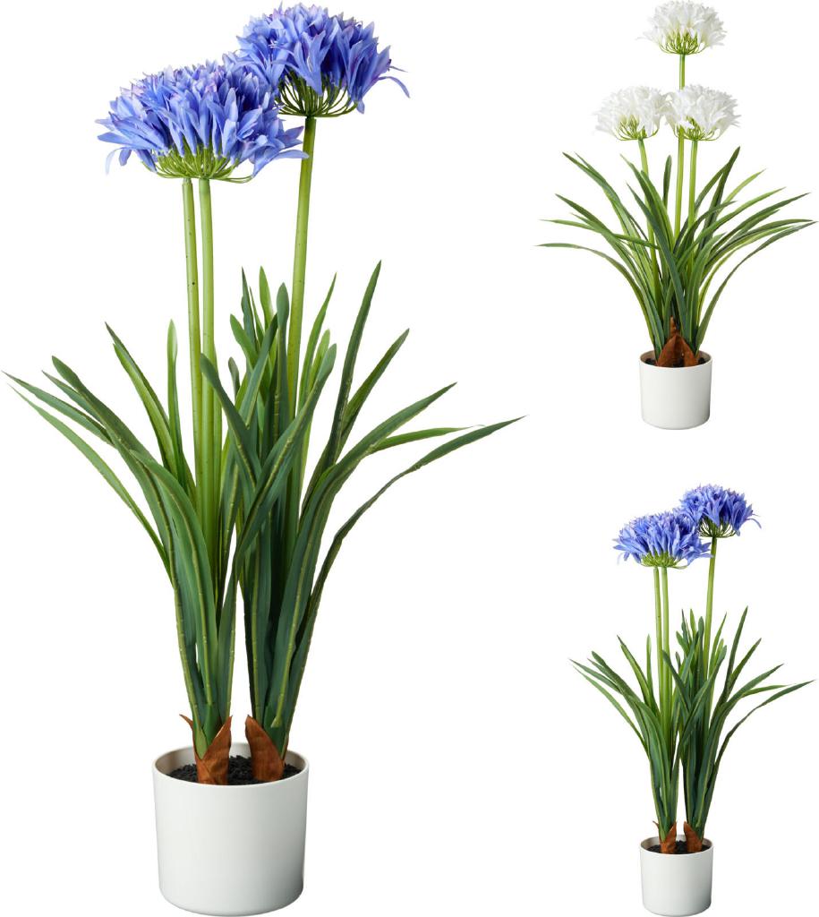 PIANTA IN VASO 50X8CM 2ASS COL ART.318001410 PIANTA IN VASO 50X8CM 2ASS COL ART.318001410