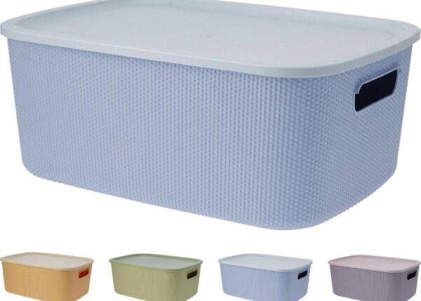 CONTENITORE C/COPERCHIO PP 37X27CM 4 ASS ART.030002230