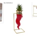 CORNO IN CERAMICA CON PIANTA GRASSA E BASE IN METALLO ART.DEV25012271