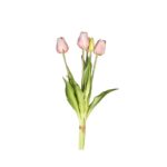 MAZZO 18120036-11 5 TULIPANI ROSA CHIARO