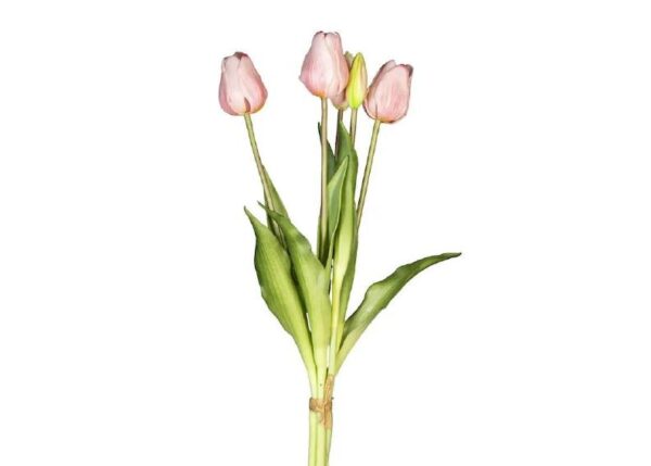 MAZZO 18120036-11 5 TULIPANI ROSA CHIARO