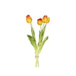 MAZZO 18120036-14 5 TULIPANI ARANCIO/ROS