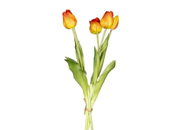 MAZZO 18120036-14 5 TULIPANI ARANCIO/ROS