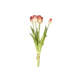 MAZZO 18120036-19 5 TULIPANI PESCA