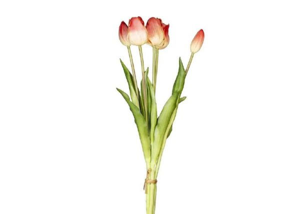 MAZZO 18120036-19 5 TULIPANI PESCA