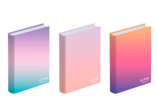 DIARIO ACTIVE STANDARD BICOLOR ART.D69564