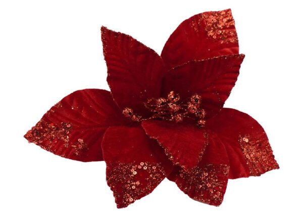 FIORE G.CORTO 8P. M.W27-262722 ROSSO/ROSSO ART.3061146931